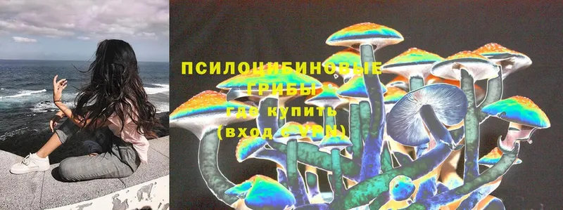 Псилоцибиновые грибы Cubensis  Белогорск 